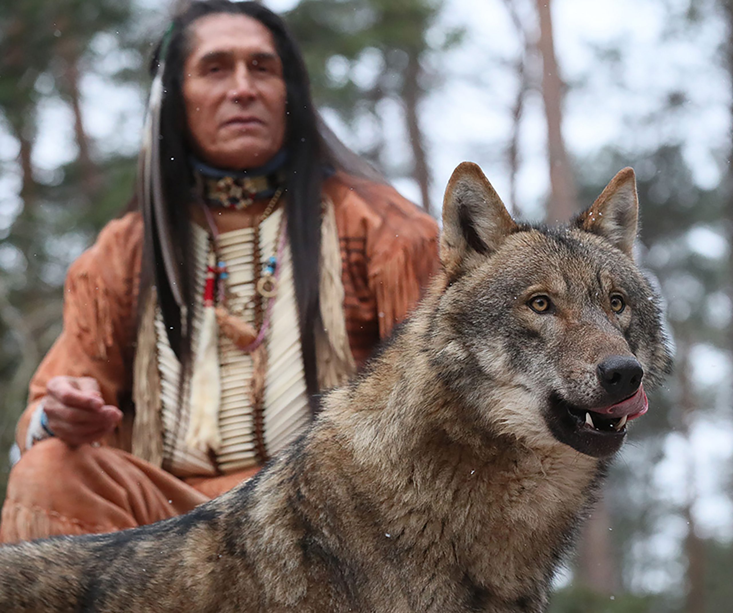 Gab es zuvor nicht - Echter Sioux und echter Wolf zusammen, kein Photoshop